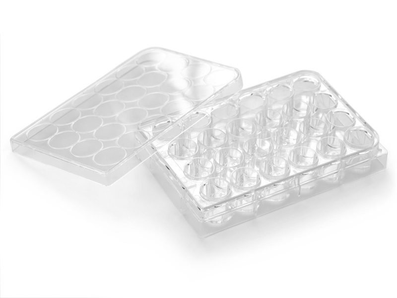 Figure 1: microplates with 24 wells.