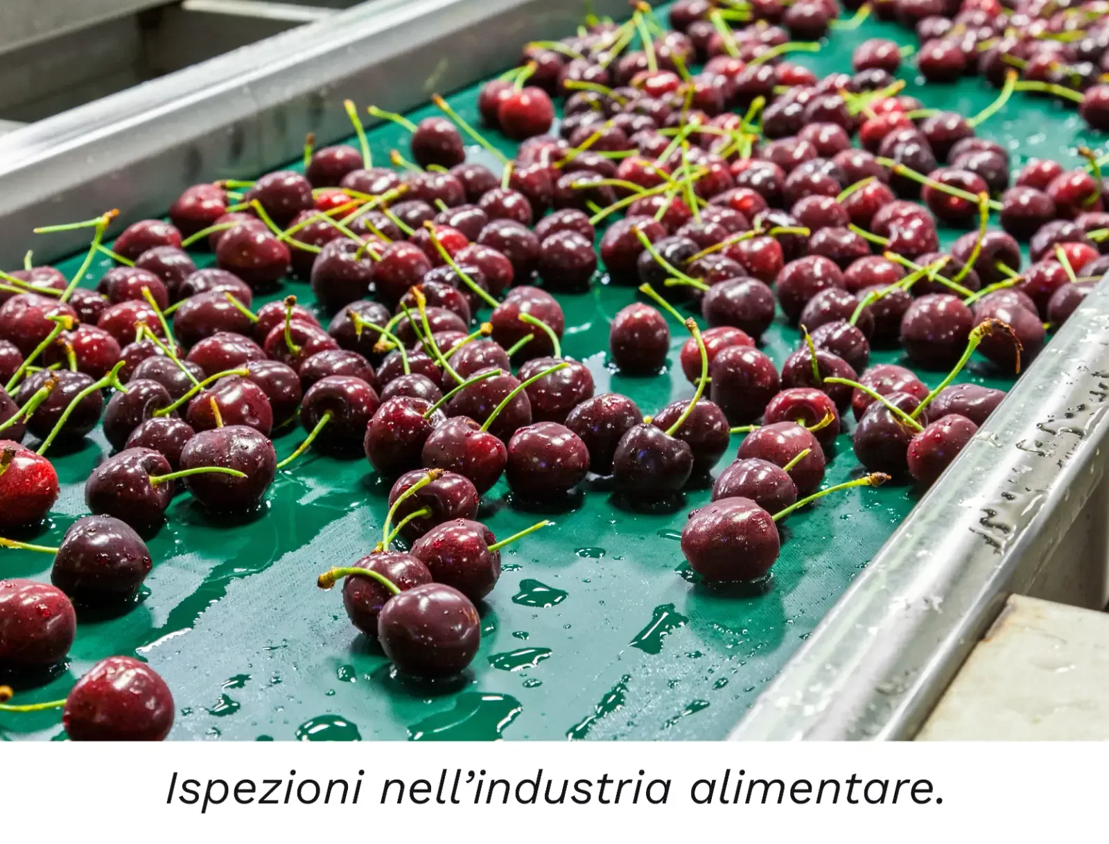 Cherry italiano