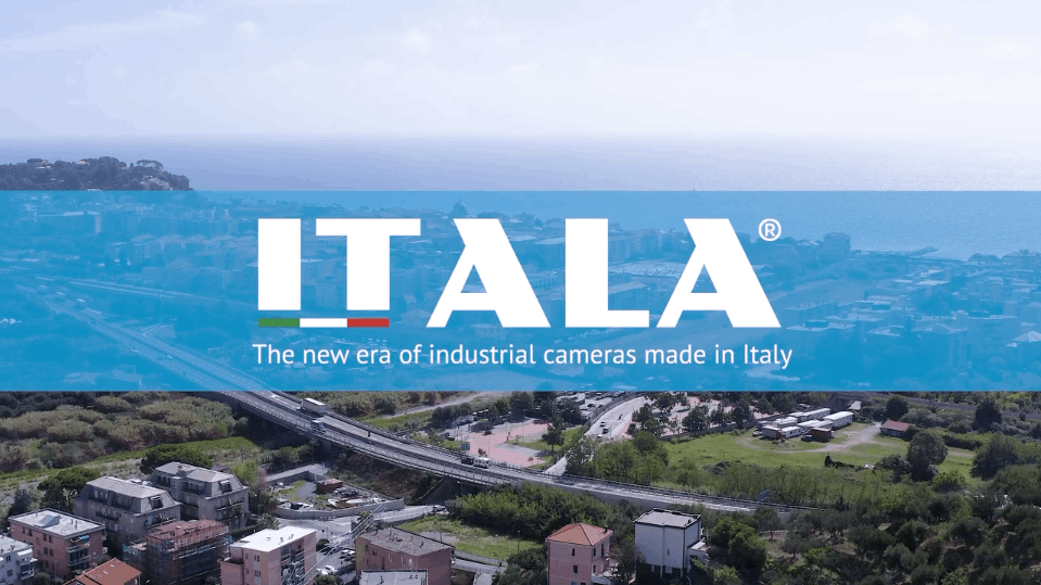 ITALA® cameras for high performance fasteners sorting machines