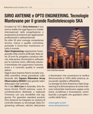 Articolo Sole24 Ore