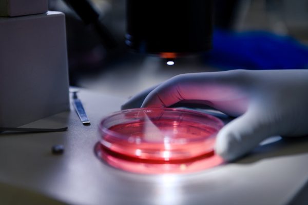 Piastre di Petri biomediche
